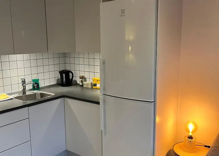 Of Bricks 6 Апартаменты Биллунн